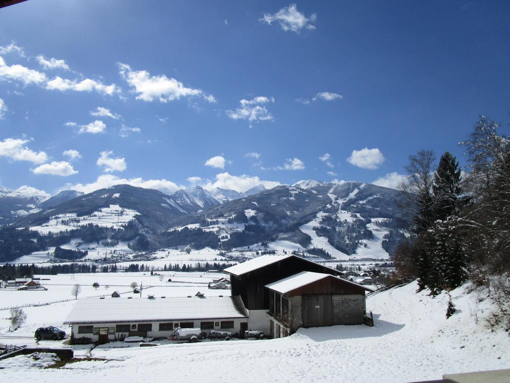 Appartment Stiegler Haus im Ennstal Esterno foto